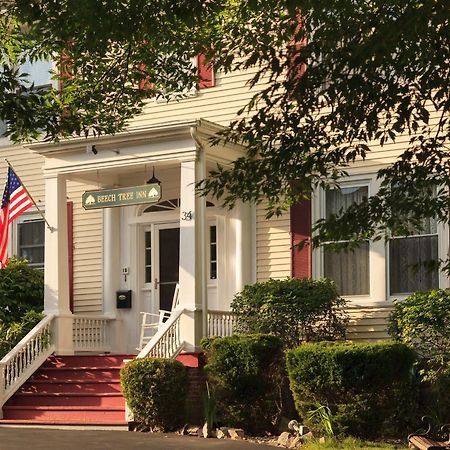 Beech Tree Inn And Cottage نيوبورت المظهر الخارجي الصورة